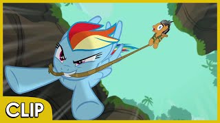 Rainbow and Quibble Pants in the Jungle  MLP Friendship Is Magic Season 6 [upl. by Goldina]