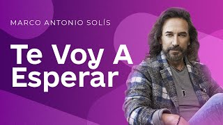 Marco Antonio Solis  Te voy a esperar  Lyric video [upl. by Ileek]