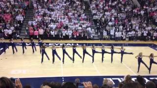 Rally In The Valley Lionettes Kickline [upl. by Sonja664]