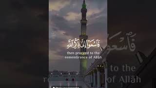 Quran quran quranrecitation quranic islam allahswords [upl. by Tnairb135]