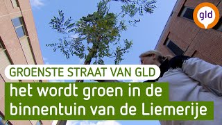 De Groenste Straat van Gelderland  De Liemerije in Zevenaar [upl. by Sylvie]