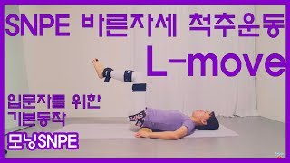 SNPE 바른자세척추운동 Lmove SNPE 입문자를 위한 L무브 운동 기본 동작 설명 및 실습 [upl. by Yanad841]