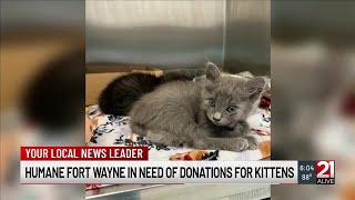 Humane Fort Wayne in need of cat supply donations following move to Leesburg Rd location [upl. by Rushing365]