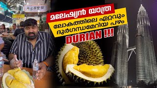 ലോകത്തിലെ ഏറ്റവും ദുർഗന്ധം ഉള്ള പഴം ദുരിയാൻ durian [upl. by Rico]