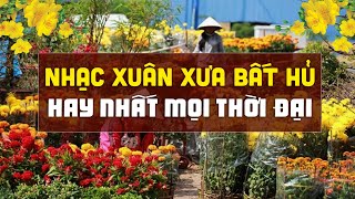 Nhạc Xuân Xưa Bất Hủ HAY NHẤT MỌI THỜI ĐẠI  Nhạc Xuân Hải Ngoại 2024 Nghe Bồi Hồi Nhớ Tết Xưa [upl. by Nosredna]