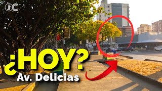 DELICIAS Av [upl. by Ayahsal]