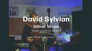 David Sylvian  Silver Moon 1986 acoustic instrumental [upl. by Aylmer]