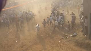 pedda upparapalli jallikattu [upl. by Avat]