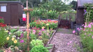 Allotments Moncrieffe Island River Tay Perth Perthshire Scotland [upl. by Orv799]