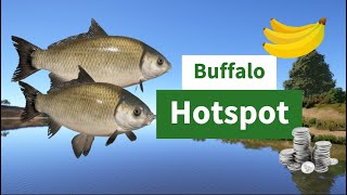 Buffalo Hotspot  Akhtuba River  RF4  Russian Fishing 4 [upl. by Anitap414]