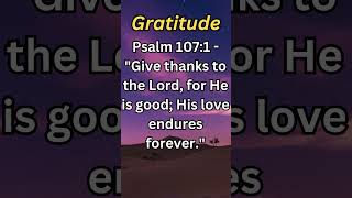 Biblical Truths II  Gratitude jesusinfluencer bible biblereading jesuslovesyou [upl. by Elleahcim]