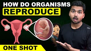 ‘Class 10 Science “CHAPTER 8quot How do Organisms Reproduce 🤔 [upl. by Akinom]