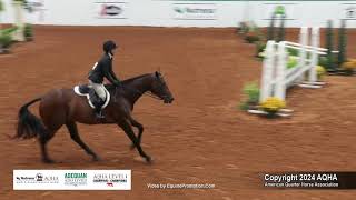 Select Working Hunter  2024 AQHA World Championship Show [upl. by Alieka]