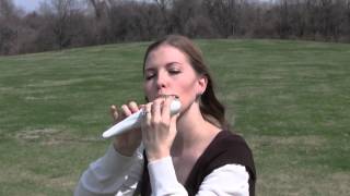 Rohan Theme from the Lord of the Rings on STL Ocarina [upl. by Ploss466]