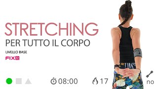 Esercizi di Stretching Migliora Flessibilità ed Elasticità [upl. by Aristotle]