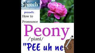 How to Pronounce Peony [upl. by Lerad]