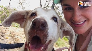 Dog Who Spent 7 Years In The Shelter Is SO Happy To Have A Family  The Dodo Faith  Restored [upl. by Imot]