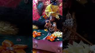 Janmashtami Kyon manae Jaati HaikanhaiyaLadduGopal RadheKrishnashortsfeed viralshortytshort [upl. by Alasteir]