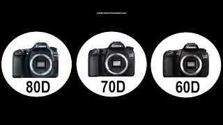 Canon 80D vs 70D vs 60D  differences and similarities [upl. by Fesuoy]