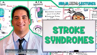 Stroke Syndromes MCA ACA ICA PCA Vertebrobasilar Artery Strokes  Pathophysiology [upl. by Adolpho]