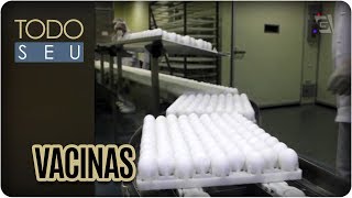 Como as vacinas são produzidas  Todo Seu 060418 [upl. by Seamus]