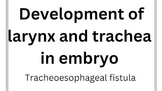 Re A 17 Development of larynx and trachea Tracheoesophageal fistula Anomalies of trachea [upl. by Brown340]