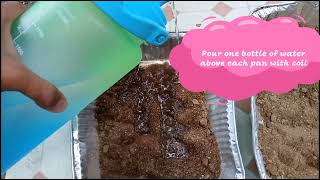 SCIENCE 5  EXPERIMENT  SOIL EROSION  WEEK 2 [upl. by Aral929]