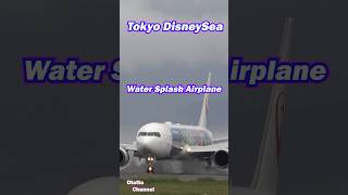 Airplanes in Tokyo DisneySeas new area quotFantasy Springsquot disney fantasysprings splash [upl. by Enawd363]