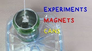 Magnetism Experiments with Magnets Aluminum cans and More [upl. by Arabrab]