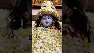 🌼🌼🌼🌼🌸🌸🌸🌸💝💝💝💝 ll youtube youtubeshorts shortsfeed krishna views viral popular song love [upl. by Hillman]