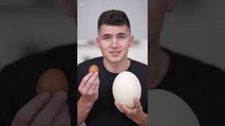 Ostrich egg दुकान में क्यों नहीं मिलता [upl. by Annal]