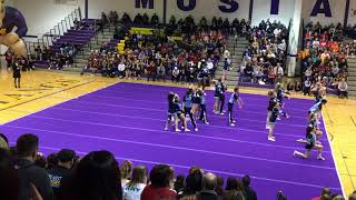 Downers Grove South Coed Varsity Cheer  RMHS 2017 [upl. by Assetak376]