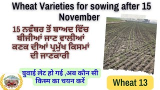 Wheat sowing after 15 November 15 ਨਵੰਬਰ ਤੋਂ ਬਾਅਦ ਬੀਜਣ ਲਈ ਕਣਕ ਦੀਆਂ ਕਿਸਮਾਂ [upl. by Mychal]