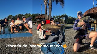 LEVEI MEUS AMIGOS PARA PESCAR PELA PRIMEIRA VEZ E ME SURPREENDIðŸ˜±ðŸŽ£Pesqueiro MaedaItu [upl. by Ientruoc]