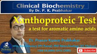 Xanthoproteic Test  Colour Reaction of Proteins [upl. by Kylie]