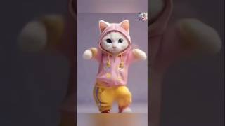 cutecats dance 💖💖shortsviralyoutubeshortsytshortsviralshortsshortsfeeds funny [upl. by Assyl]