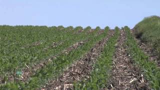 Soybean Planting 734 Air Date 42912 [upl. by Jeanne741]