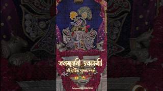 JAL JHULNI EKADASHI STATUS  DOL GYARAS STATUS  SANWARIYA SETH shorts [upl. by Idid]