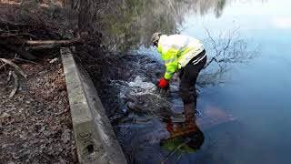 Clearing a Massive Clog on a Lake Drain Culvert [upl. by Nnaynaffit]