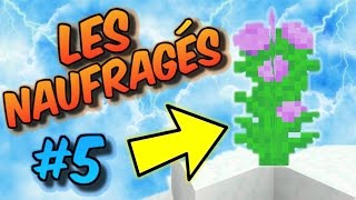 MINECRAFT  LES NAUFRAGÉS  LA PLANTE SACRÉE   SAISON 3  Episode 5 [upl. by Ping]