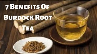 7 Benefits Of Burdock Root Tea [upl. by Adlemi]