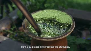 Ouro Verde de Canoinhas [upl. by Eciryt]