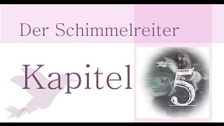 Storm Theodor Der Schimmelreiter Inhaltsangabe Kapitel 5 [upl. by Lodie121]