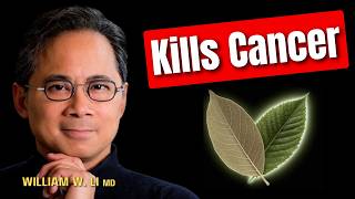 These 2 🍃 Leaves DESTROY 🔥 Cancer Cells Repair DNA amp Reduce Inflammation Dr William Li [upl. by Keeryt]