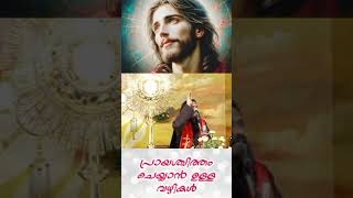 How to do penance Fr Raphson Peter OCD Avila Sadan Karaparambu Edoor [upl. by Iaj]