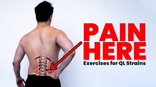 QL Strains  How to do exercises for a quadratus lumborum strain and low back pain [upl. by Henebry]