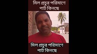 মিল প্রচুর পরিমাণে পাট কিনছে। myfirstkobutorvlog jute [upl. by Nnave]