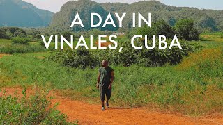 A Day In Vinales Cuba [upl. by Annavoj]