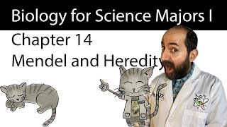 Chapter 14 – Mendel and the Gene Idea [upl. by Salvidor899]