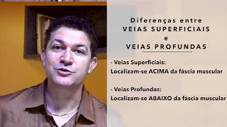 Angiologia Fácil 12  Que são Veias Superficiais e Profundas [upl. by Uziel131]